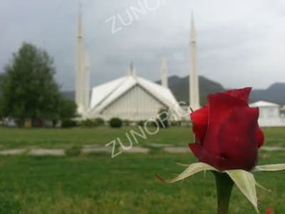 A white mosque against green lawns